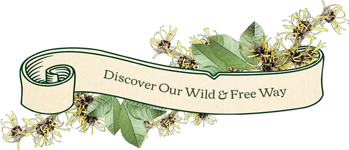 Discover our wild and free way