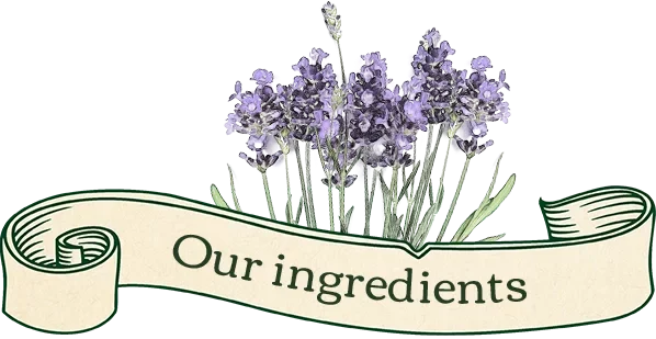 Our ingredients