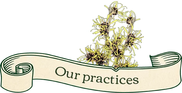 Our practices banner