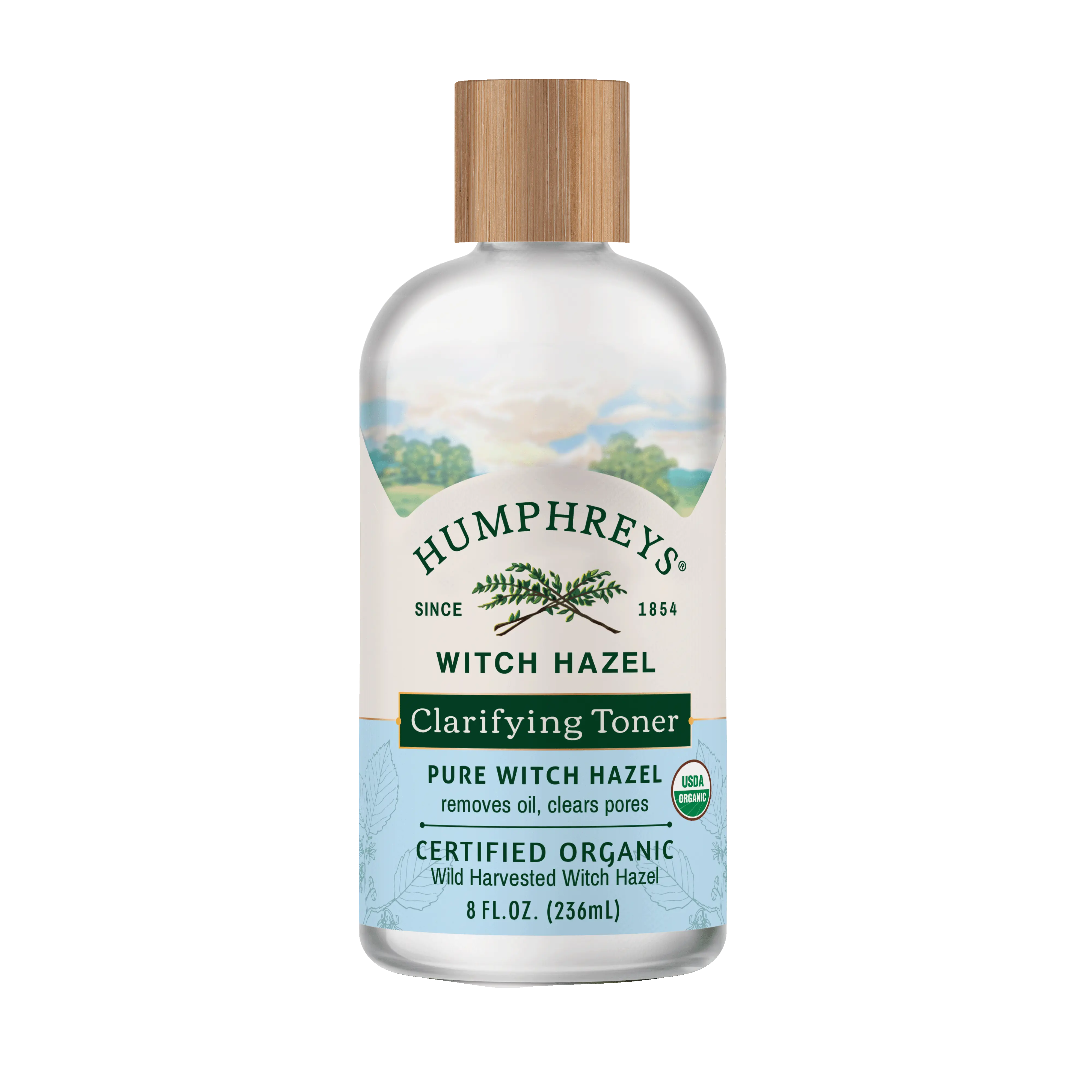 Witch hazel toner discount